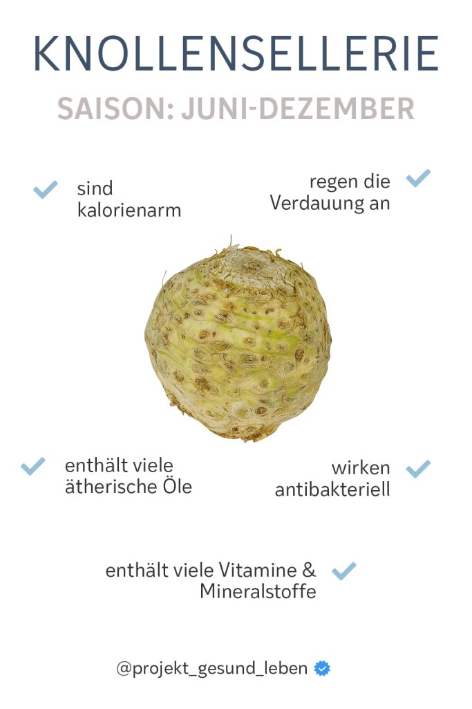 Knollensellerie Warenkunde Pinterest01