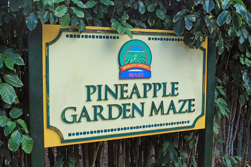 Dole Pineapple Garden Maze Projekt Gesund Leben Clean Eating