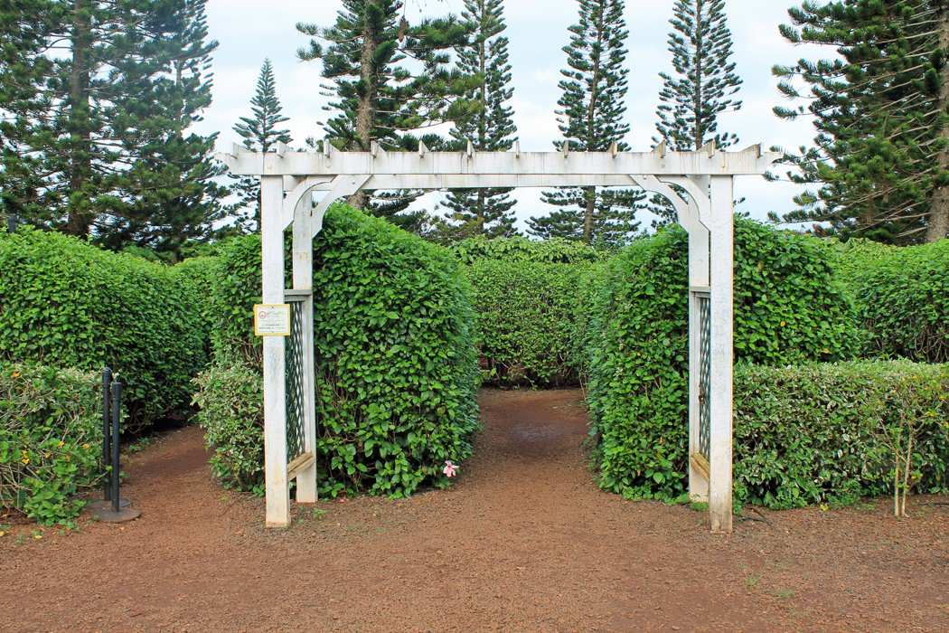 Hawaiian Vacation A Visit To The Dole Pineapple Plantation