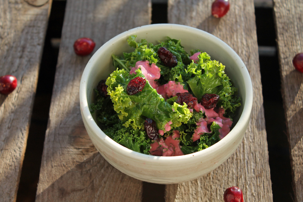 Grünkohl Salat mit Cranberries