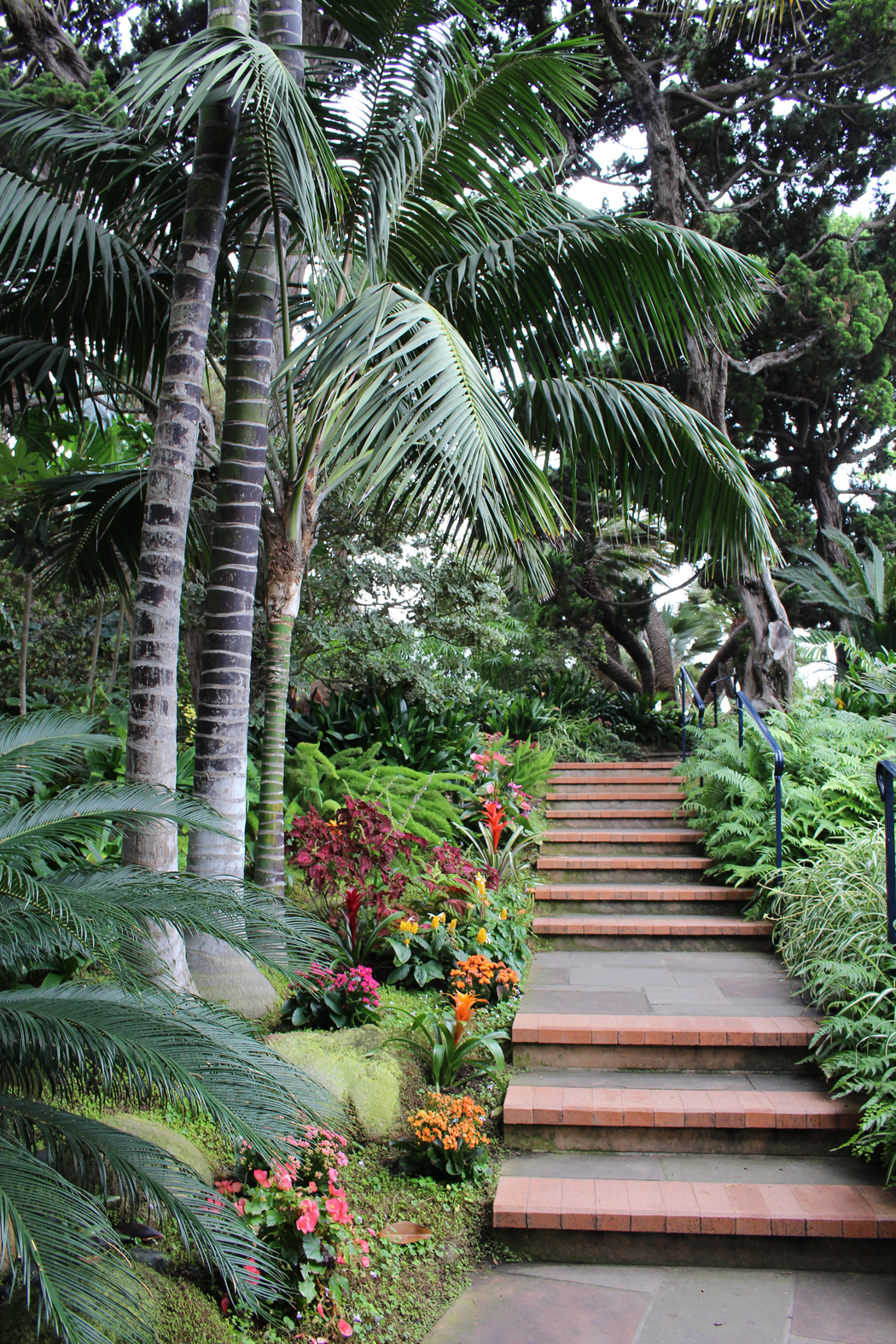 meditation-garden-encinitas01