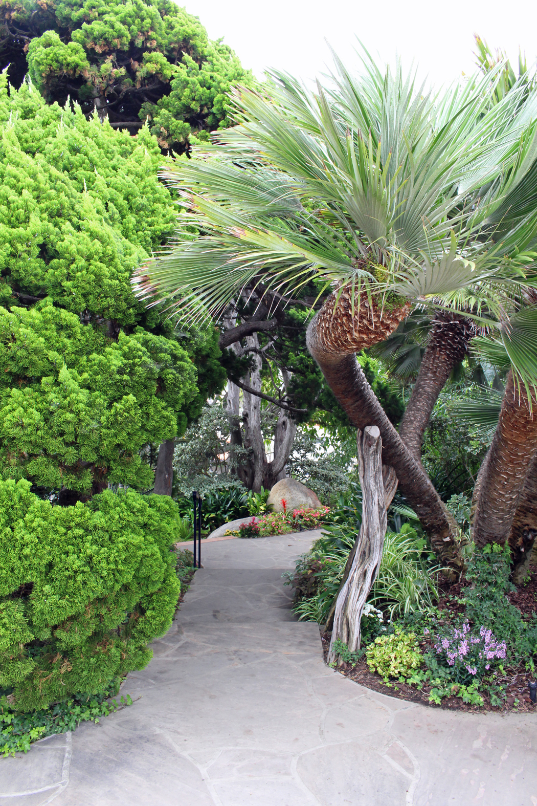 meditation-garden-encinitas02