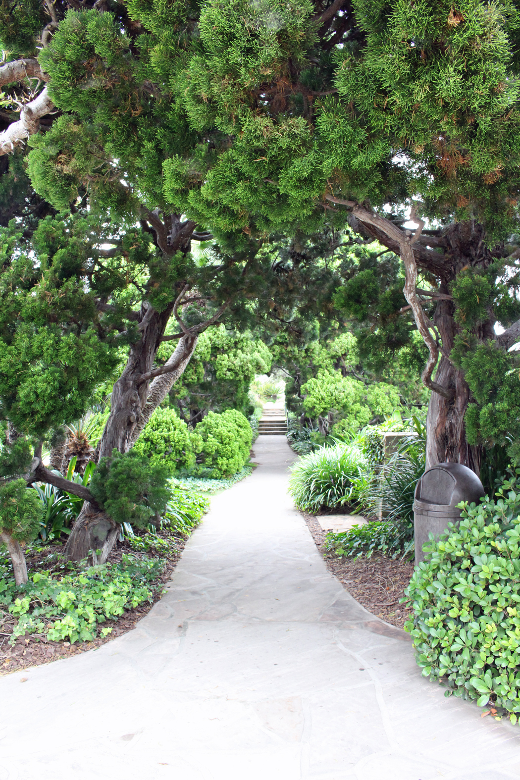 Besuch Im Meditationsgarten In Encinitas San Diego Kalifornien