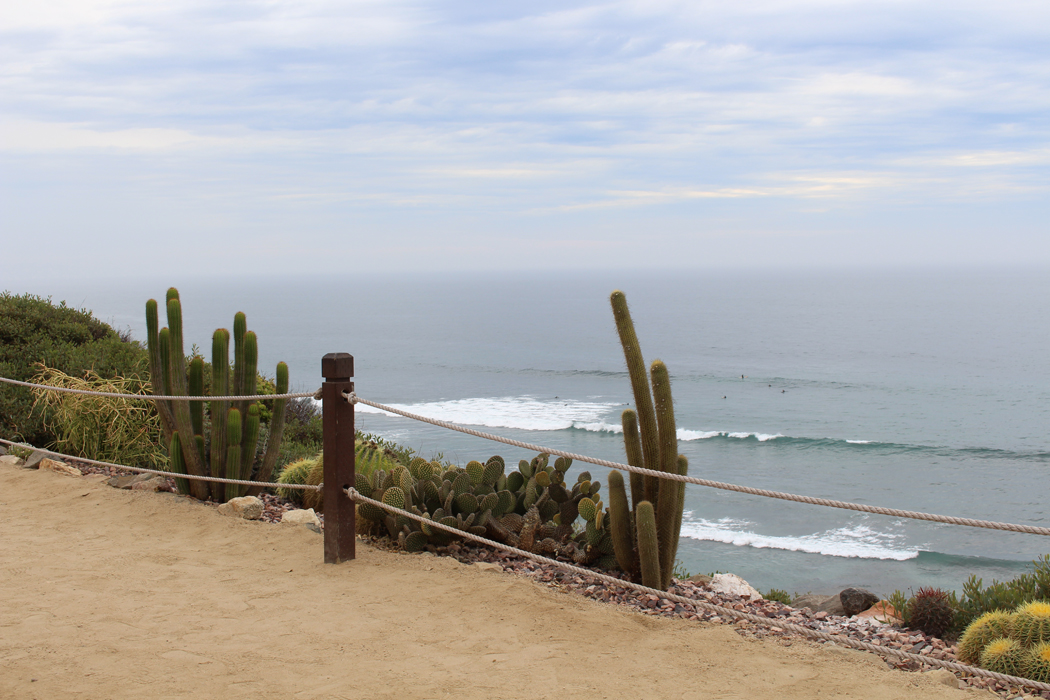 meditation-garden-encinitas10