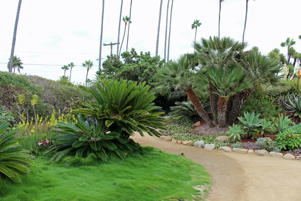 A Visit To The Meditation Gardens In Encinitas San Diego