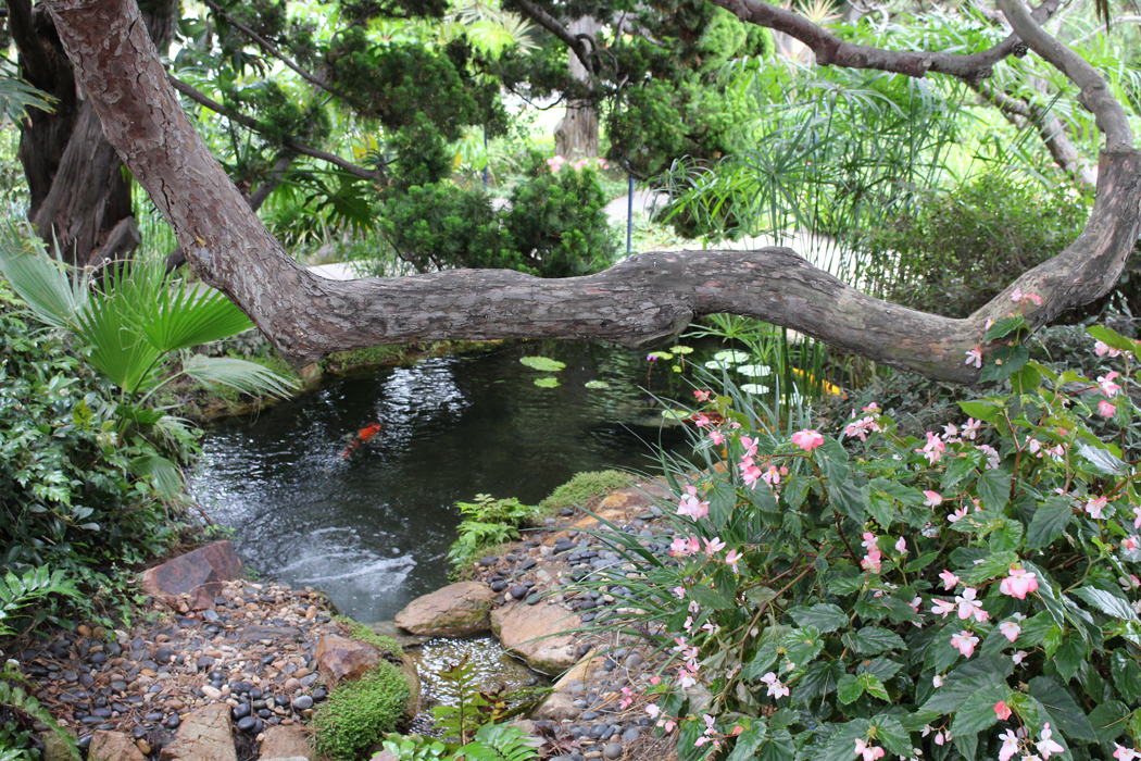 meditation-garden-encinitas16