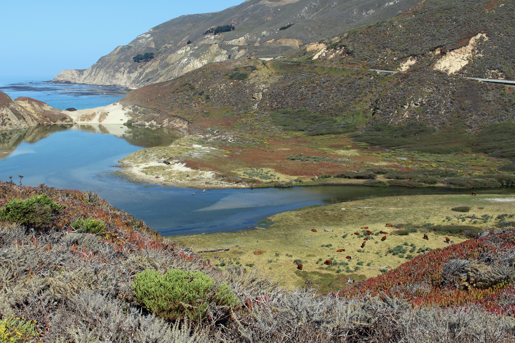 big-sur07