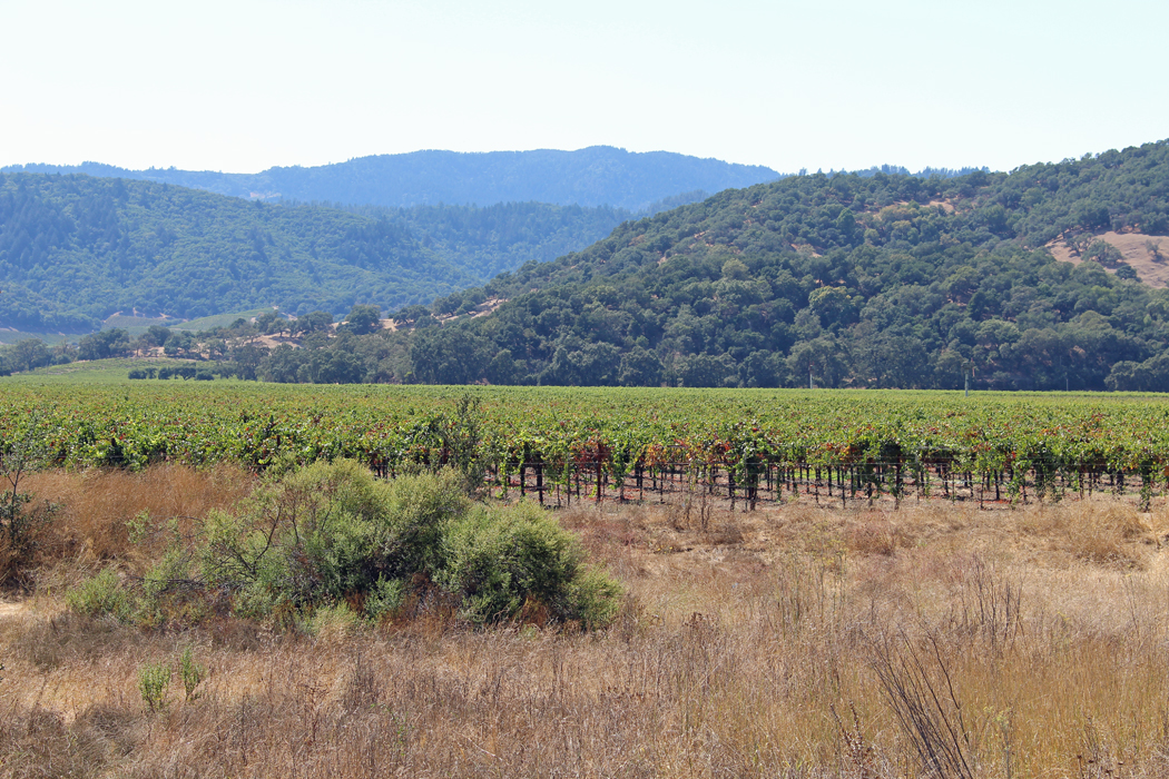 napa-valley