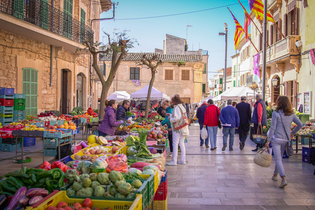 Projekt Gesund leben Retreat Mallorca 2018 022