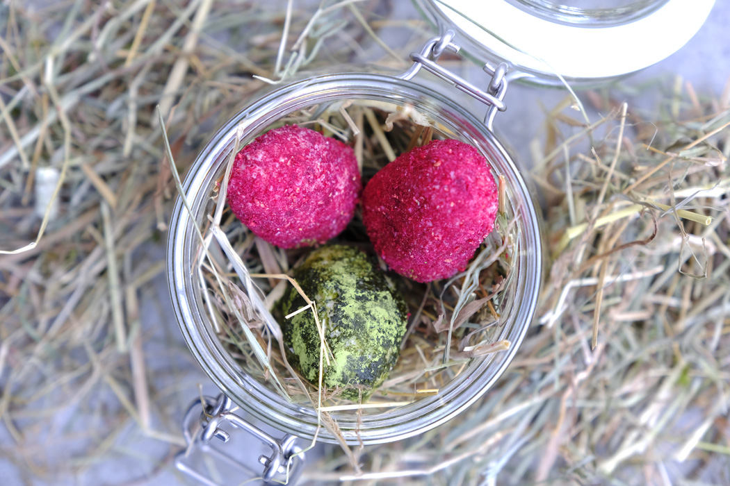 Ostereier mal anders: rohköstlich & vegan (Energy Balls ohne raffinierten Zucker) | 6 Ostereier Energy Balls04