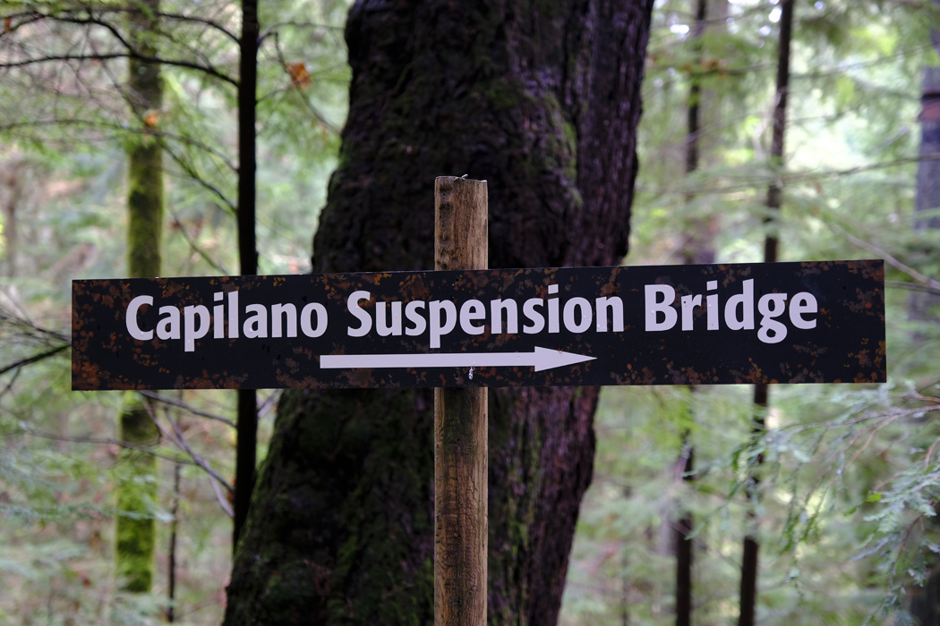 Vancouver Capilano Suspension Bridge01