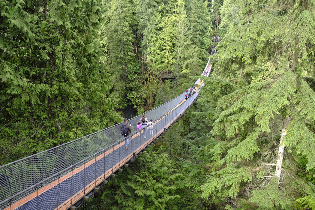 Vancouver Capilano Suspension Bridge03