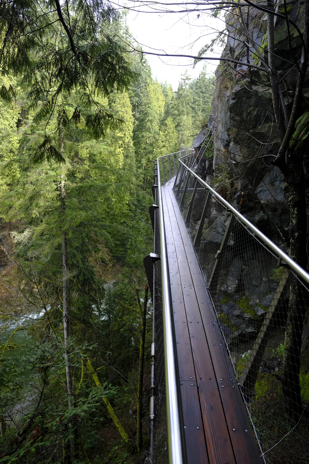 Vancouver Capilano Suspension Bridge05