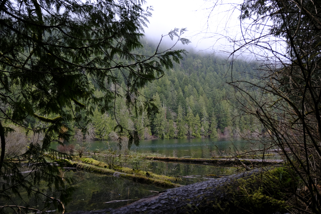 Vancouver Island04