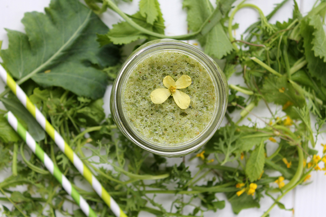 Wildkräuter Grüner Smoothie 1