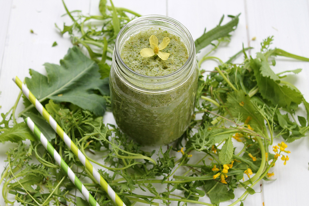 Wildkräuter Grüner Smoothie