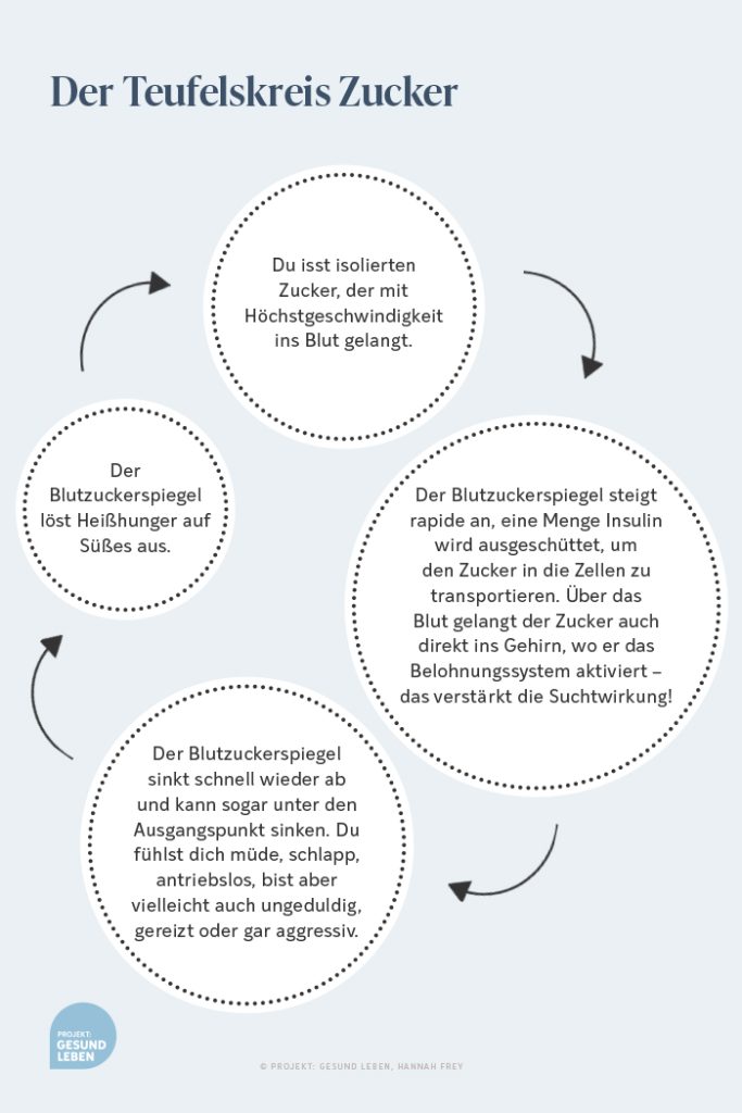 Der Teufelskreis Zucker