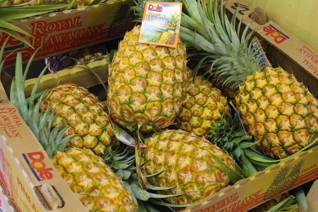 Ananas Dole2