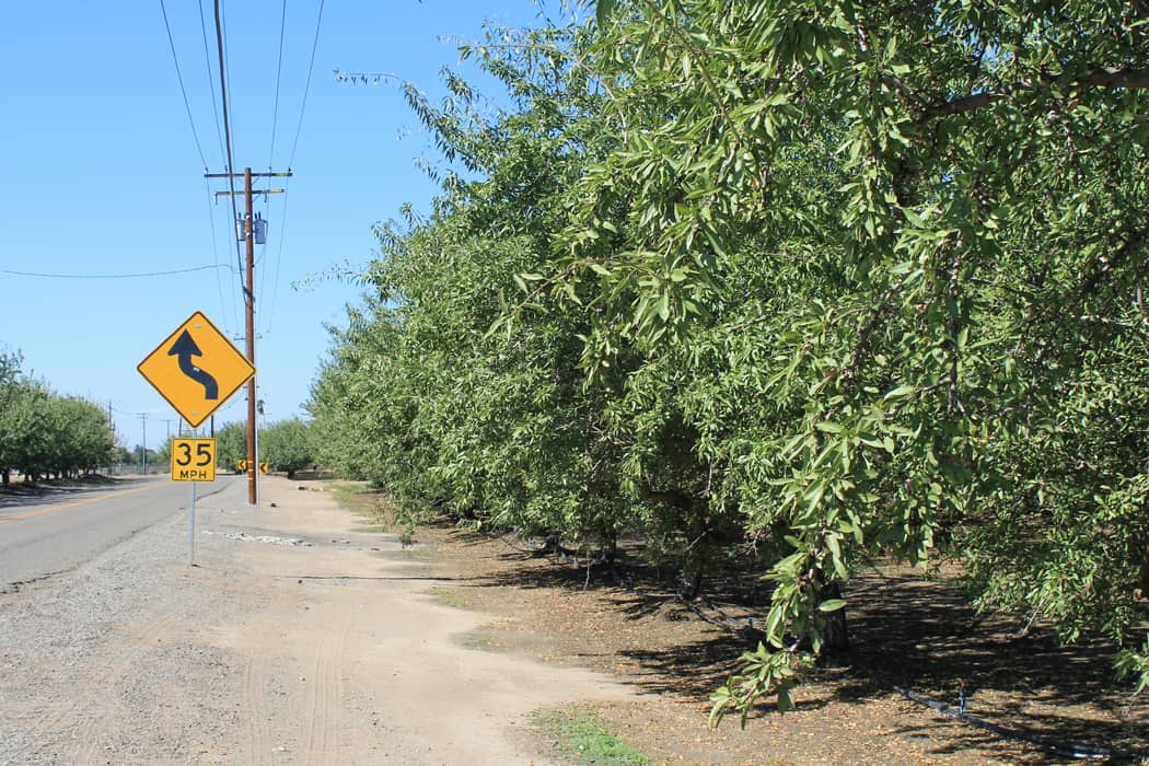 Mandelfarm | Projekt: Gesund Leben