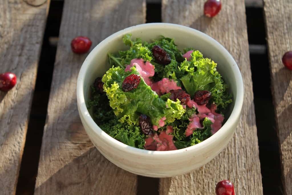 Gruenkohl Salat mit Cranberries