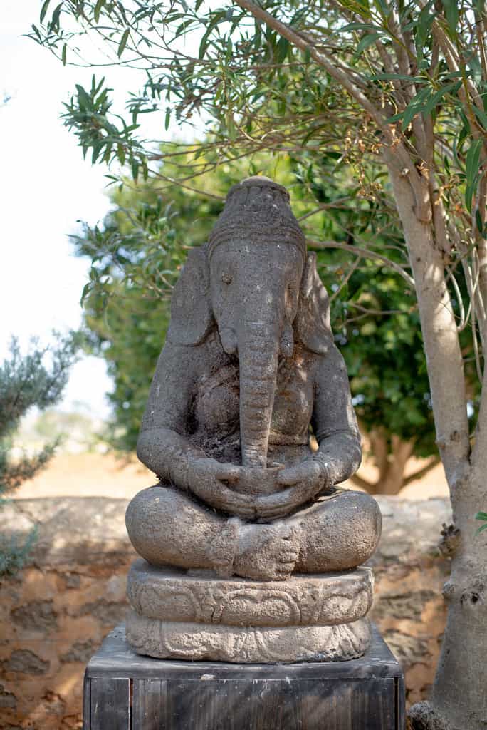 Cal Reiet Holistic Retreat
