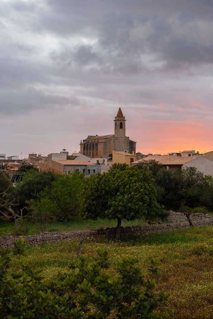 Projekt Gesund leben Retreat Cal Reiet Mallorca03