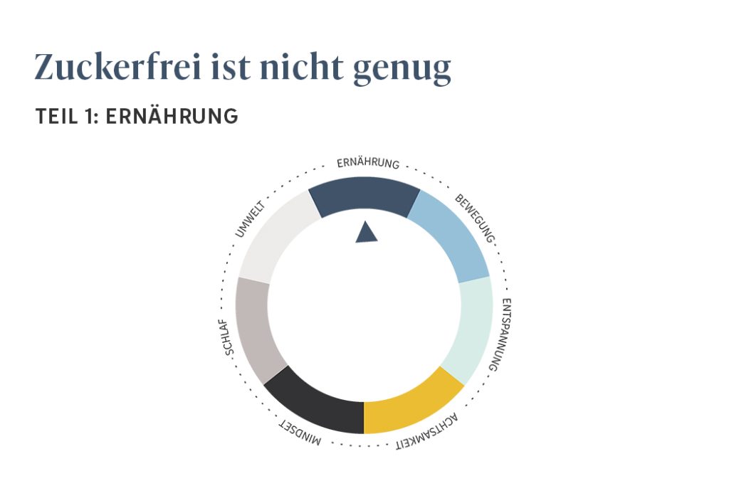 Zuckerfrei ist nicht genug Teil 1 Ernaehrung
