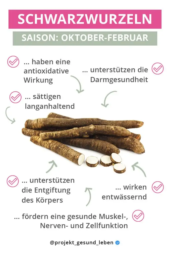 Rezept: Kartoffel-Schwarzwurzel-Gratin mit Thymian | 4 Pinterest Warenkunde Schwarzwurzeln