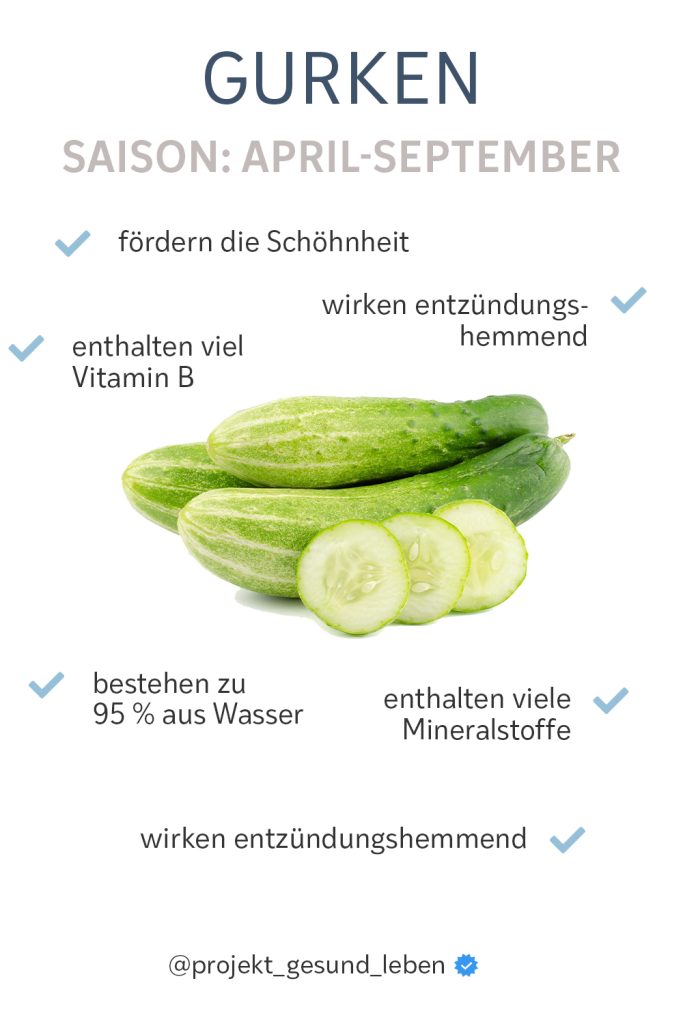 Gurke Warenkunde Pinterest